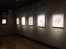 Load image into Gallery viewer, Frames for Paper Originals