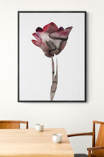 Load image into Gallery viewer, Frames for Paper Prints