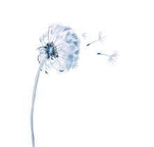 Load image into Gallery viewer, A collection of Poems and Watercolor Paintings by Artist Elizabeth Becker