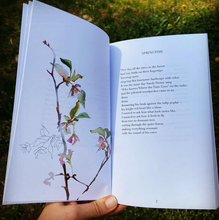 Load image into Gallery viewer, Thaw