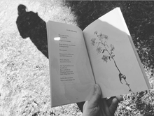 Load image into Gallery viewer, Thaw