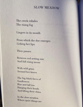 Load image into Gallery viewer, Thaw