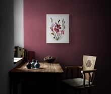 Load image into Gallery viewer, Gladiolus No. 2