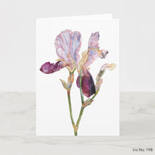 Load image into Gallery viewer, Greeting card featuring print of watercolor painting by contemporary artist Elizabeth Becker. Blank inside for any occasion. Botanical, floral, iris flower. Mauve purple, soft pink, olive green and white colors.  Loose, expressive, minimalist, modern watercolor art.
