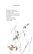 Load image into Gallery viewer, Thaw