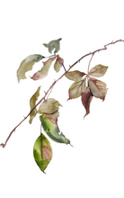 Load image into Gallery viewer, Thaw