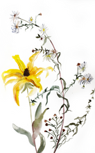 Load image into Gallery viewer, Thaw