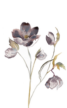 Load image into Gallery viewer, Thaw