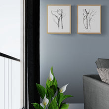 Load image into Gallery viewer, 9” x 12” original trees ink painting in an expressive, impressionist, minimalist, modern style by contemporary fine artist Elizabeth Becker. Monochromatic black and white.