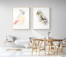 Load image into Gallery viewer, 5” x 7” original watercolor female cardinal and goldfinch painting in an ethereal, expressive, impressionist, minimalist, modern style by contemporary fine artist Elizabeth Becker