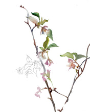 Load image into Gallery viewer, 16” x 20” original watercolor botanical cherry blossom floral painting in an expressive, impressionist, minimalist, modern style by contemporary fine artist Elizabeth Becker. Soft green, pink and white colors.
