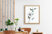 Load image into Gallery viewer, 9” x 12” original watercolor botanical white cherry blossom floral painting in an expressive, impressionist, minimalist, modern style by contemporary fine artist Elizabeth Becker