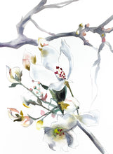 Load image into Gallery viewer, 11" x 15" original watercolor botanical white cherry blossom flower painting in an abstract, expressive, impressionist, minimalist, modern style by contemporary fine artist Elizabeth Becker.
