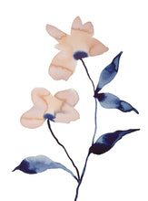 Load image into Gallery viewer, 9" x 12" original watercolor botanical flower painting in an expressive, loose, watery, minimalist, modern style by contemporary fine artist Elizabeth Becker. Prints available. Soft muted peach, navy blue and payne's gray colors with white background.