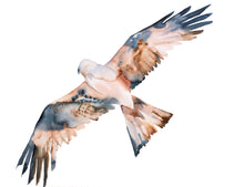 Load image into Gallery viewer, 22.5” x 30” original watercolor painting of flying red-tailed hawk in an ethereal, expressive, impressionist, minimalist, modern style by contemporary fine artist Elizabeth Becker. Large-scale soaring bird in flight. Watery monochromatic soft brown, black and white colors.