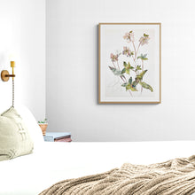 Load image into Gallery viewer, 22" x 33" original framed watercolor botanical hellebore flower painting in an expressive, impressionist, minimalist, modern style by contemporary fine artist Elizabeth Becker