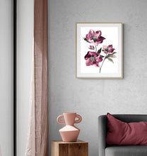 Load image into Gallery viewer, 16" x 20" original watercolor ink botanical hellebore flowers painting in an expressive, loose, watery, minimalist, modern style by contemporary fine artist Elizabeth Becker. Prints available. Monochromatic mulberry, maroon, burgundy, fuchsia, black and white colors. Framed in a room.