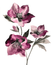Load image into Gallery viewer, 16" x 20" original watercolor ink botanical hellebore flowers painting in an expressive, loose, watery, minimalist, modern style by contemporary fine artist Elizabeth Becker. Prints available. Monochromatic mulberry, maroon, burgundy, fuchsia, black and white colors.
