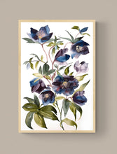 Load image into Gallery viewer, 24" x 36" original watercolor botanical hellebores or lenten rose. Flower painting on canvas. Varnished and ready-to-hang. Expressive, impressionist, loose, watery, moody, minimalist, modern style by contemporary fine artist Elizabeth Becker. Prints available. Dark blue, eggplant purple, olive green and white colors.