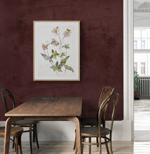 Load image into Gallery viewer, Hellebore No. 34