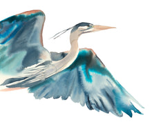 Load image into Gallery viewer, 16” x 20” original watercolor wildlife flying bird, great blue heron, egret or crane painting in an expressive, impressionist, minimalist, modern style by contemporary fine artist Elizabeth Becker