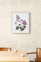 Load image into Gallery viewer, Hibiscus No. 5