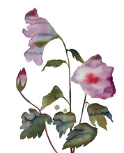 Load image into Gallery viewer, 16” x 20” original watercolor botanical hibiscus floral painting in an expressive, loose, watery, minimalist, modern style by contemporary fine artist Elizabeth Becker. Soft muted mauve purple, red and dark green colors on white background.