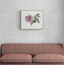 Load image into Gallery viewer, 16" x 20" original watercolor botanical hibiscus floral painting in an expressive, loose, watery, minimalist, modern style by contemporary fine artist Elizabeth Becker. Prints available. Soft dark pink, mauve purple, dark olive green and white colors. Framed.
