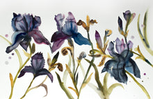 Load image into Gallery viewer, 26” x 40” original watercolor painting of botanical iris flowers. Large-scale floral garden study in a gestural, abstract, expressive, impressionist, minimalist, modern style by contemporary fine artist Elizabeth Becker. Monochromatic moody dark blue, black, mauve purple, olive green, yellow ochre, gold and white colors.
