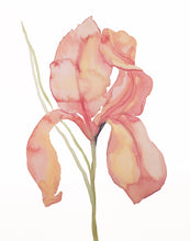 Load image into Gallery viewer, Custom Order for Chris