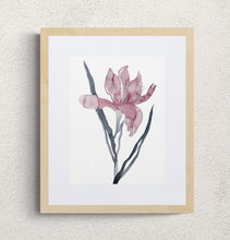 Load image into Gallery viewer, 9" x 12" original watercolor botanical iris flower painting in an expressive, loose, watery, minimalist, modern style by contemporary fine artist Elizabeth Becker. Prints available. Soft muted mauve pink and black colors with white background. Framed.