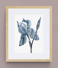 Load image into Gallery viewer, Iris No. 192