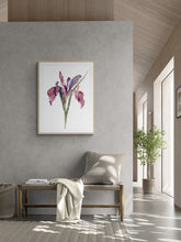 Load image into Gallery viewer, 22.5" x 30" original watercolor botanical iris flower painting in an expressive, loose, watery, minimalist, modern style by contemporary fine artist Elizabeth Becker. Prints available. Colorful mauve purple, ink blue and olive green colors with white background. Framed.
