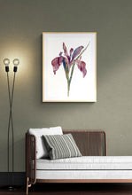 Load image into Gallery viewer, 22.5" x 30" original watercolor botanical iris flower painting in an expressive, loose, watery, minimalist, modern style by contemporary fine artist Elizabeth Becker. Prints available. Colorful mauve purple, ink blue and olive green colors with white background. Framed.