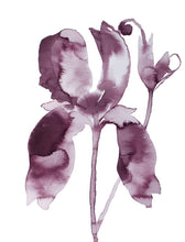 Load image into Gallery viewer, 9" x 12" original ink botanical iris flower painting in an expressive, loose, watery, minimalist, modern style by contemporary fine artist Elizabeth Becker. Prints available. Soft muted burgundy and plum purple on white background.