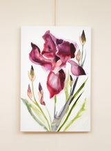 Load image into Gallery viewer, 24" x 36" original watercolor botanical iris flower painting on canvas. Varnished and ready-to-hang. Expressive, loose, watery, minimalist, modern style by contemporary fine artist Elizabeth Becker. Prints available. Vibrant red, dark pink and olive green colors.
