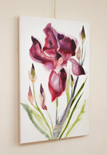 Load image into Gallery viewer, 24" x 36" original watercolor botanical iris flower painting on canvas. Varnished and ready-to-hang. Expressive, loose, watery, minimalist, modern style by contemporary fine artist Elizabeth Becker. Prints available. Vibrant red, dark pink and olive green colors.