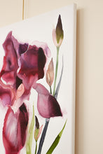 Load image into Gallery viewer, 24" x 36" original watercolor botanical iris flower painting on canvas. Varnished and ready-to-hang. Expressive, loose, watery, minimalist, modern style by contemporary fine artist Elizabeth Becker. Prints available. Vibrant red, dark pink and olive green colors.