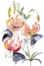 Load image into Gallery viewer, 24" x 36" original watercolor botanical turk's cap lilies or tiger lily with swallowtail butterflies. Flower painting on canvas. Varnished and ready-to-hang. Expressive, loose, watery, minimalist, modern style by contemporary fine artist Elizabeth Becker. Prints available. Soft peach, light orange, yellow, olive green, black and white colors.a