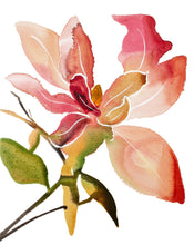 Load image into Gallery viewer, 16" x 20" original acrylic or watercolor botanical abstract magnolia flower painting on canvas. Varnished and ready-to-hang. Expressive, loose, watery, minimalist, modern style by contemporary fine artist Elizabeth Becker. Prints available. Bright, vibrant and colorful. Peach, fuchsia pink, red olive green, yellow ochre and white colors.