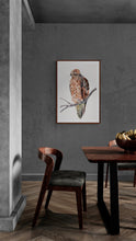 Load image into Gallery viewer, 26” x 40” original watercolor ink painting of red-tailed hawk bird on tree branch. Large-scale wildlife illustration in an expressive, minimalist, modern style by contemporary fine artist Elizabeth Becker. Monochromatic neutral brown, burnt sienna, peach and white colors. Framed in a modern dining room.