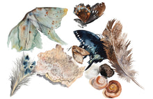 Load image into Gallery viewer, A heartwarming poem, accompanied by gorgeous watercolor paintings, by writer and artist Elizabeth Becker. This “children’s book" for all ages reminds us of our spiritual connection to the natural world around us– with all the magic, wonder and comfort it has to offer. Sheltering Trees is a mindful journey into the forest and into the heart.