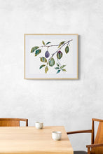 Load image into Gallery viewer, 16” x 20” original watercolor botanical nature painting of plums, leaves and branches in an expressive, impressionist, minimalist, modern style by contemporary fine artist Elizabeth Becker. Soft muted monochromatic olive green, purple and gray colors. Framed in dining room.