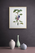 Load image into Gallery viewer, 12" x 16" original watercolor botanical nature painting of plums, leaves and branches in an expressive, loose, watery, minimalist, modern style by contemporary fine artist Elizabeth Becker. Soft muted olive green, maroon red burgundy and purple colors on white background. Framed in a room.