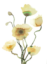 Load image into Gallery viewer, 11" x 15" original watercolor botanical floral poppies painting in an expressive, loose, watery, minimalist, modern style by contemporary fine artist Elizabeth Becker. Prints available. Soft yellow, ochre, olive green and white colors.