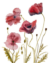 Load image into Gallery viewer, 16" x 20" original watercolor botanical poppy flowers. Poppies wildflowers garden floral painting in an expressive, minimalist, modern, loose, watery style by contemporary fine artist Elizabeth Becker. Dark ruby red, olive green and white colors.