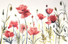 Load image into Gallery viewer, 26” x 40” original watercolor painting of botanical poppy wildflowers. Large-scale floral garden field of poppies study in a loose, gestural, abstract, expressive, impressionist, minimalist, modern style by contemporary fine artist Elizabeth Becker. Rust red, burnt orange, olive green and white colors.
