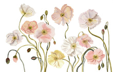 Load image into Gallery viewer, 26” x 40” original watercolor painting of botanical poppy flowers. Large-scale floral poppies in an expressive, impressionist, minimalist, modern style by contemporary fine artist Elizabeth Becker. Soft pastel colors. Light pink, peach, pale yellow, olive green and white colors.