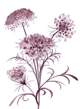 Load image into Gallery viewer, 12” x 16” original watercolor botanical queen anne's lace wildflower painting in an ethereal, expressive, impressionist, minimalist, modern style by contemporary fine artist Elizabeth Becker. Deep maroon, burgundy and white colors.