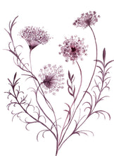 Load image into Gallery viewer, 12” x 16” original watercolor botanical queen anne's lace wildflower painting in an ethereal, expressive, impressionist, minimalist, modern style by contemporary fine artist Elizabeth Becker. Deep maroon, burgundy and white colors.